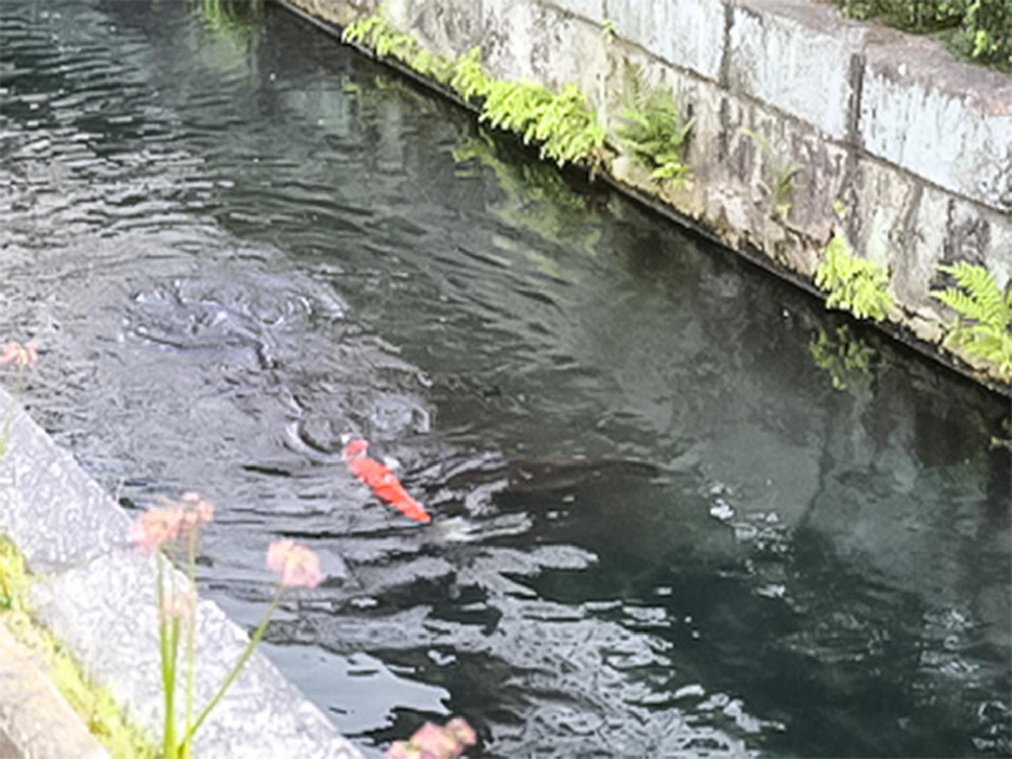 Villa 京町家お宿・花 à Kyoto Extérieur photo