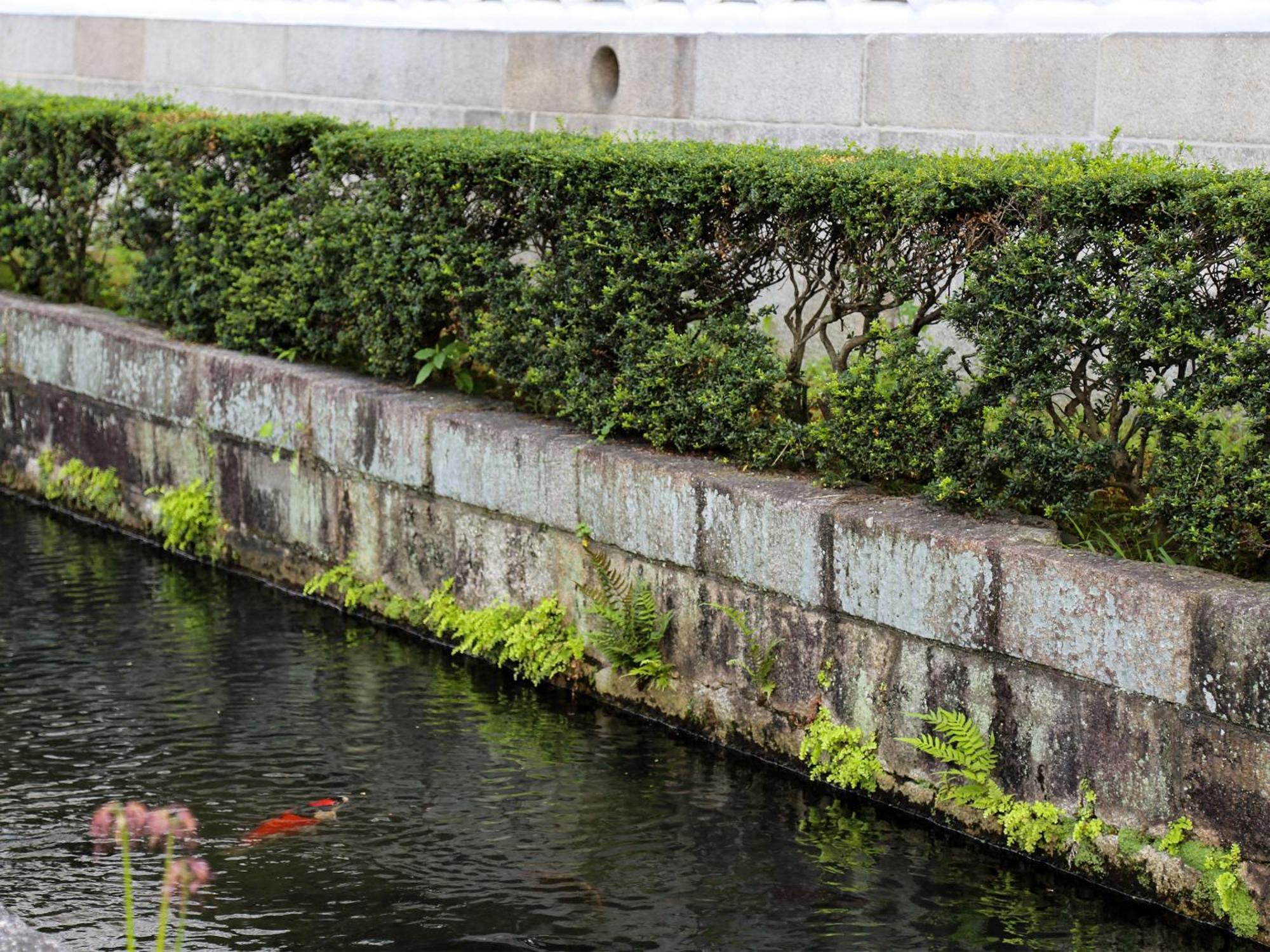 Villa 京町家お宿・花 à Kyoto Extérieur photo